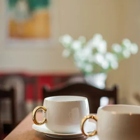 Vintage Senacka 5 公寓