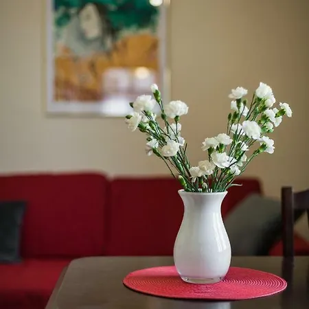 Vintage Senacka 5 * 克拉科夫