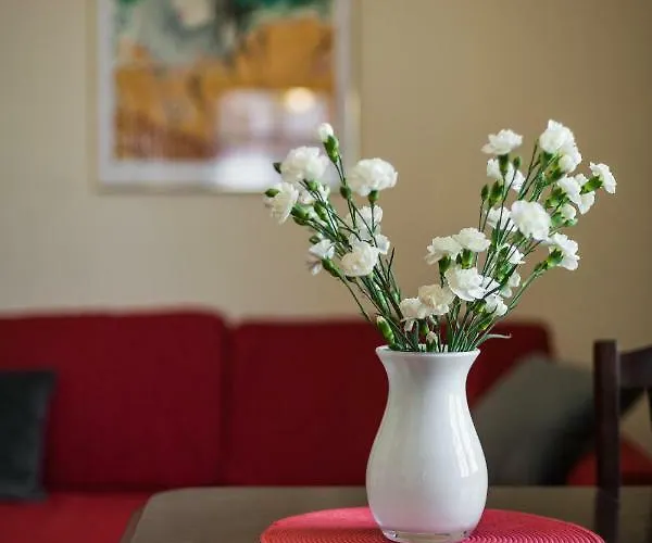 Vintage Senacka 5 * Krakkó